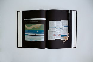 個人作品集書裝印刷版 包裝裝潢印刷的藝術與實用指南